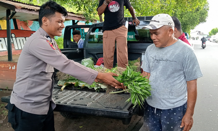 BAGI HASIL PANEN GRATIS