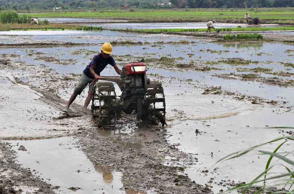 BAJAK SAWAH GUNAKAN HAND TRACTOR
