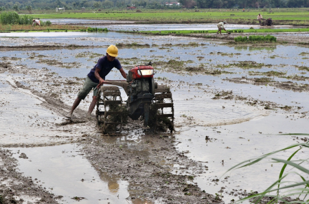BAJAK SAWAH GUNAKAN HAND TRACTOR