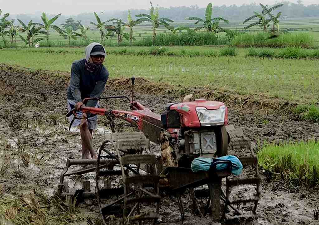 BAJAK SAWAH GUNAKAN TRAKTOR