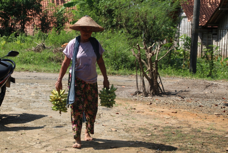 BAWA BUAH PISANG MAS