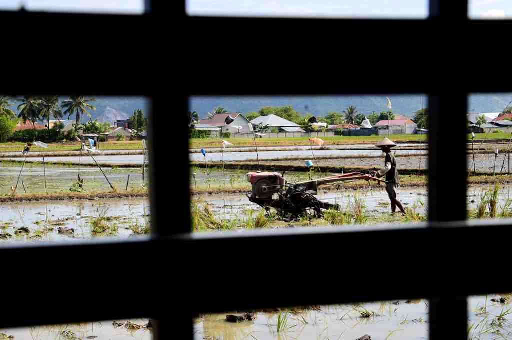 BAJAK SAWAH