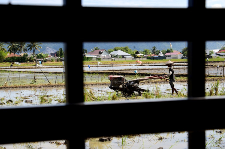 BAJAK SAWAH