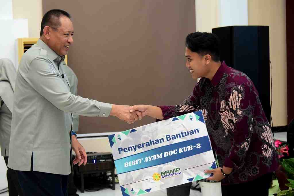 BANTUAN BIBIT AYAM