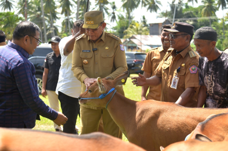 BANTUAN TERNAK PEMPROV GORONTALO