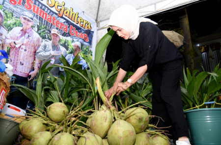 BELI KELAPA GENJAH PANDAN WANGI