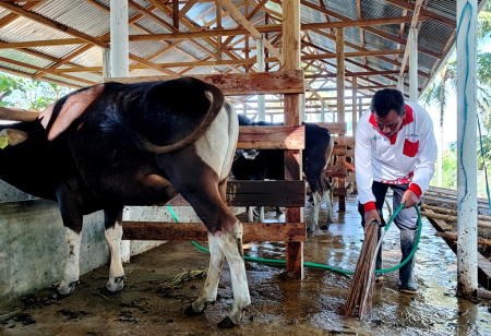 BERSIHKAN LANTAI KANDANG