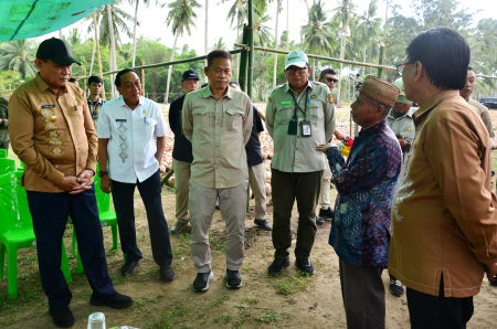 BIBIT KELAPA UNGGUL