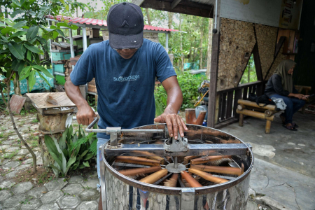 PERAS MADU APIS MELLIFEERA