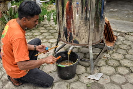 PRODUKSI MADU APIS MELLIFERA DI PALANGKA RAYA