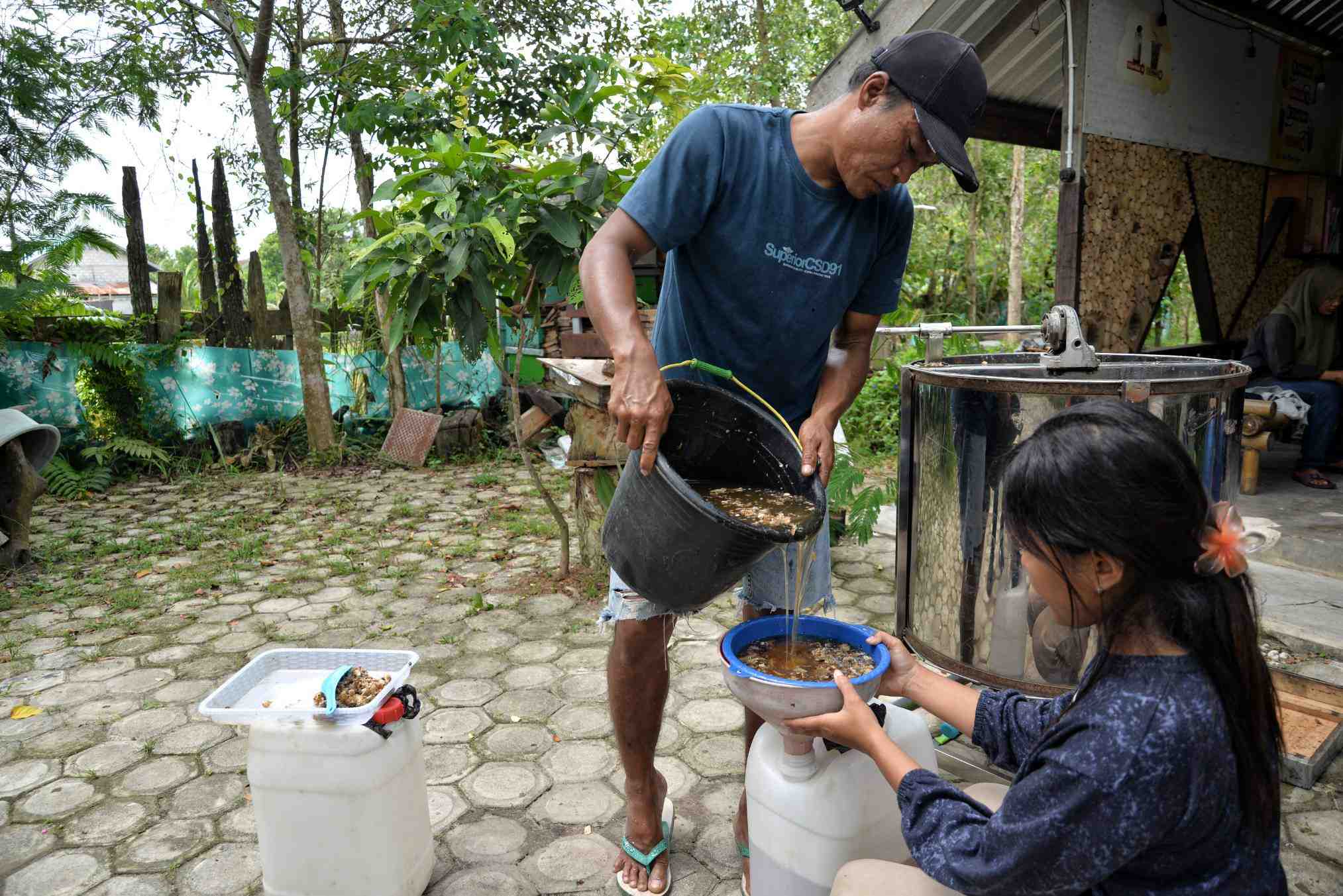 SARING MADU APIS MELLIFERA