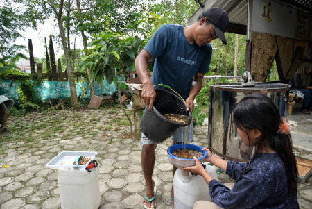 SARING MADU APIS MELLIFERA