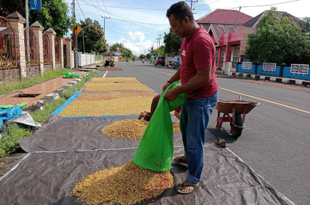 TUANGKAN CENGKEH