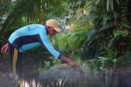 PETANI CABAI