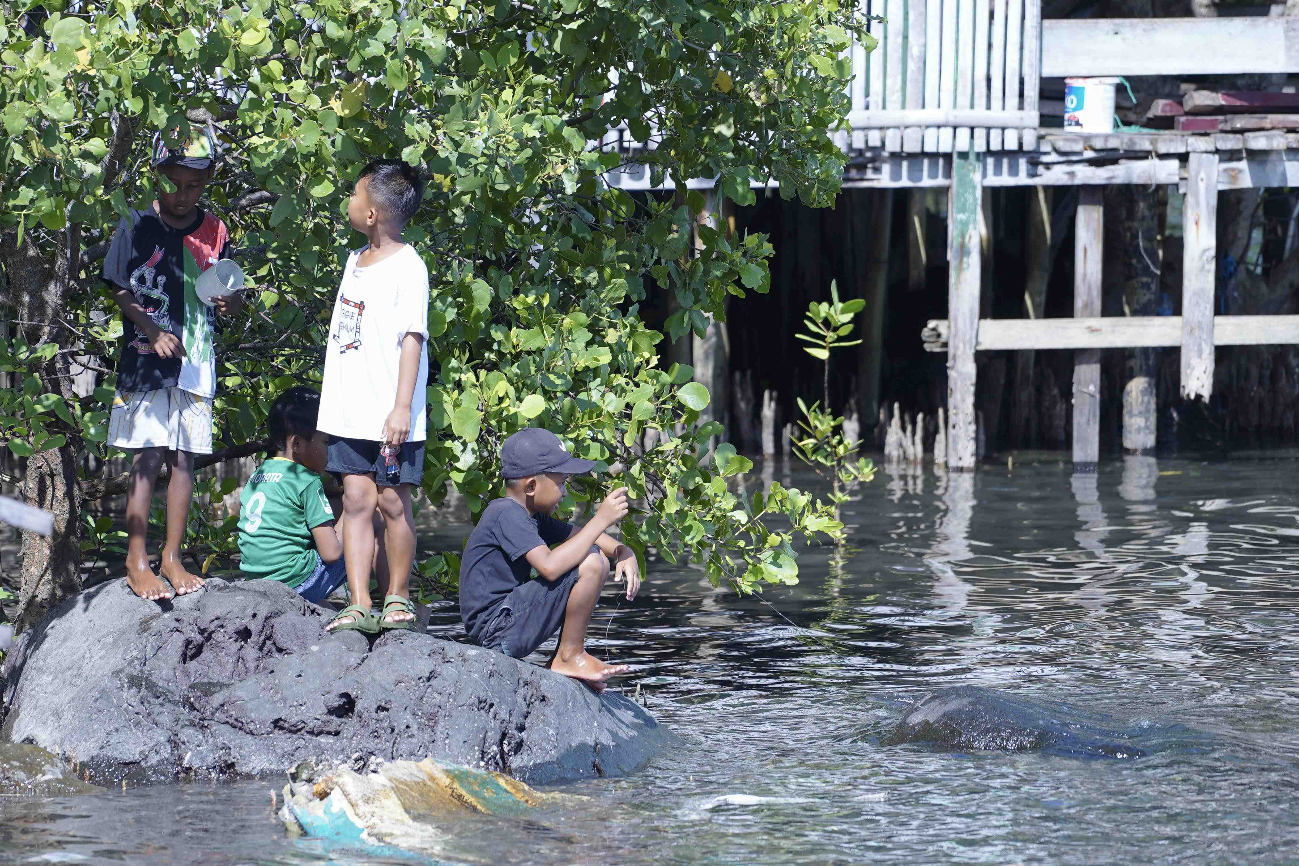 MANCING IKAN