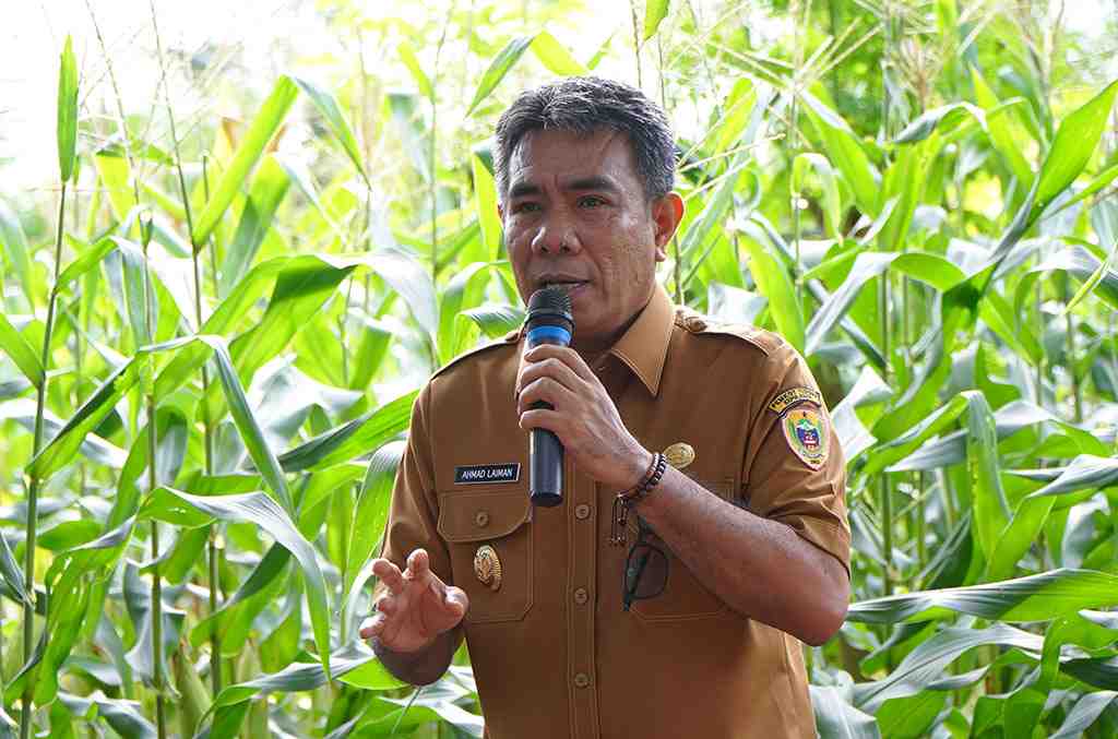 PROGRAM KETAHANAN PANGAN 
