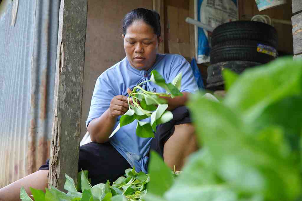 PETANI SAYUR KANGKUNG 
