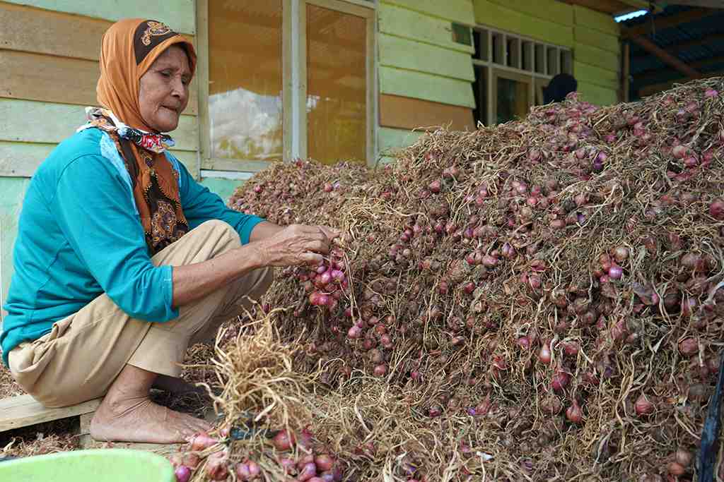 BERSIHKAN BAWANG MERAH