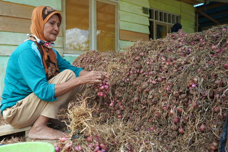 BERSIHKAN BAWANG MERAH