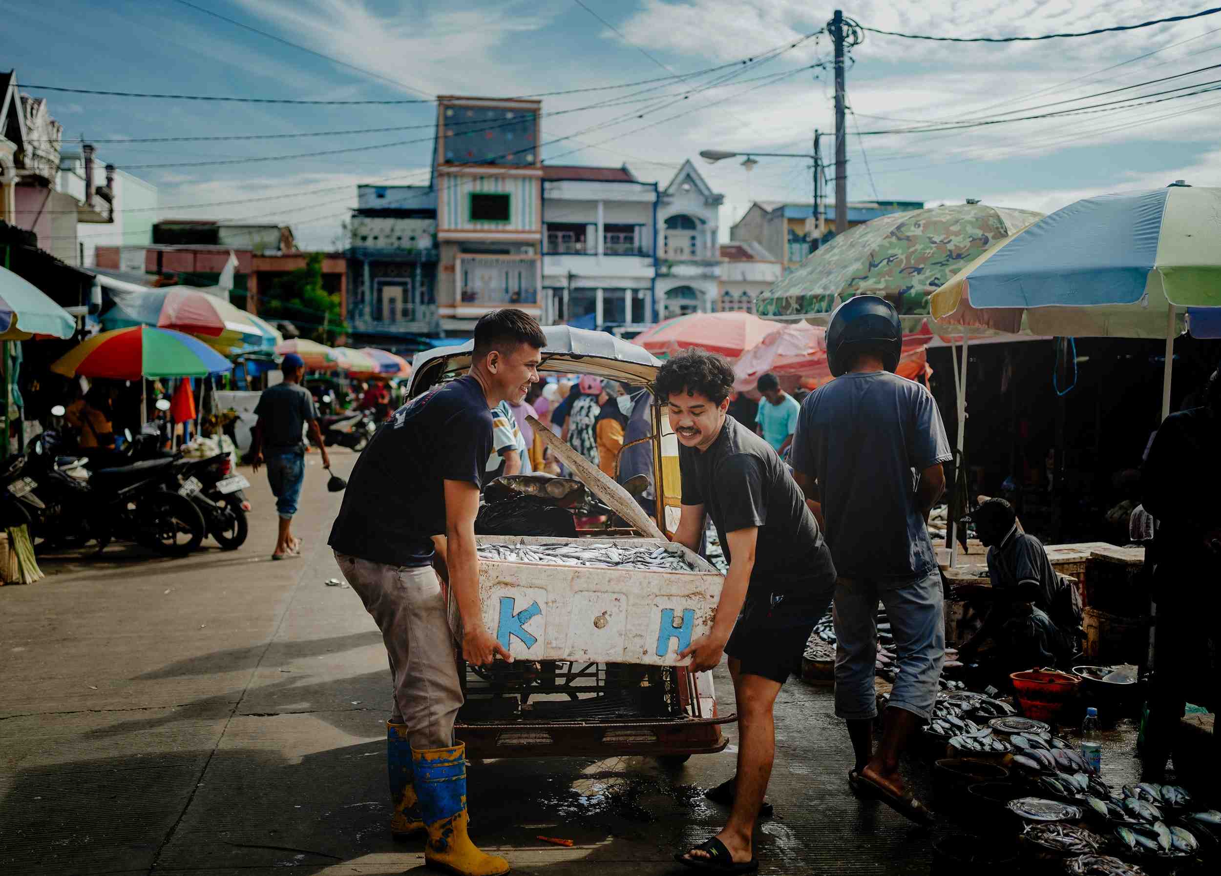 ANGKUT IKAN SEGAR