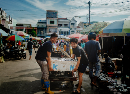 ANGKUT IKAN SEGAR