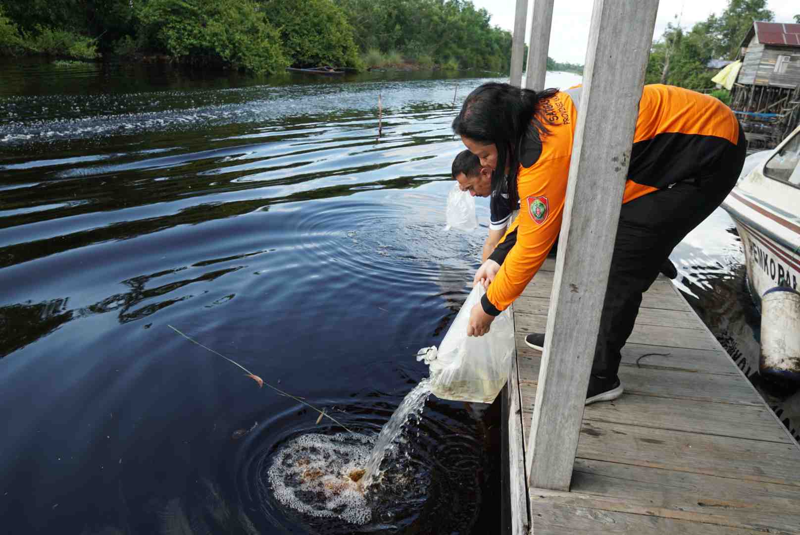 LEPAS LIAR BIBIT IKAN PAPUYU
