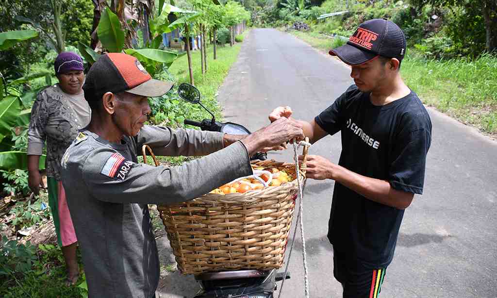ANGKUT HASIL PANEN