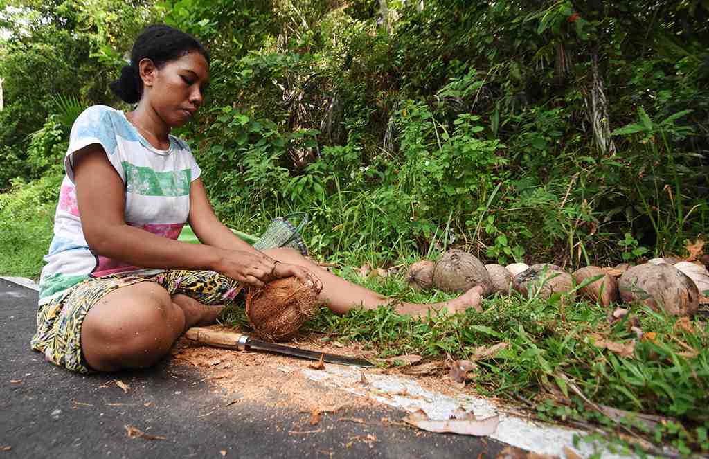 KUPAS KULIT KELAPA KERING