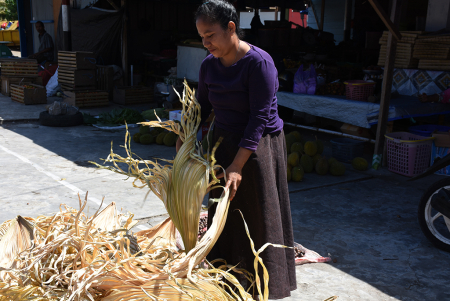JEMUR DAUN WOKA
