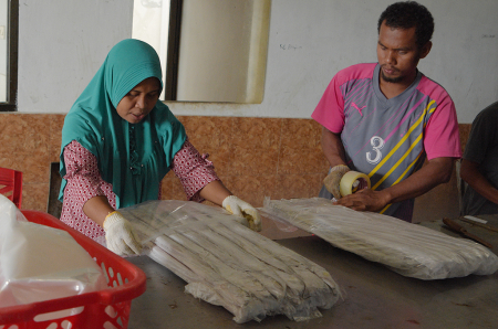 PENGEPAKAN IKAN TUNA