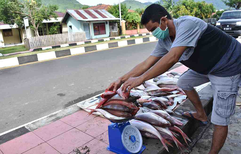 TIMBANG IKAN DASARAN
