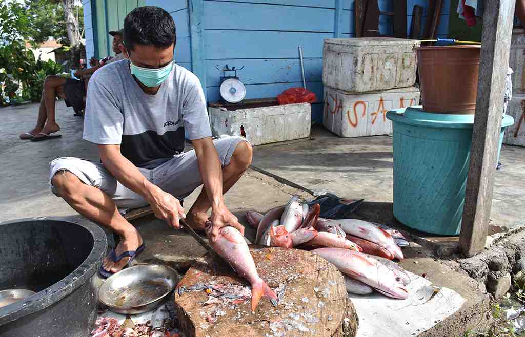 BERSIHKAN SISIK IKAN KAKAP MERAH