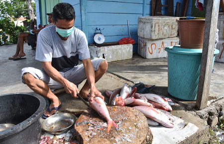 BERSIHKAN SISIK IKAN KAKAP MERAH