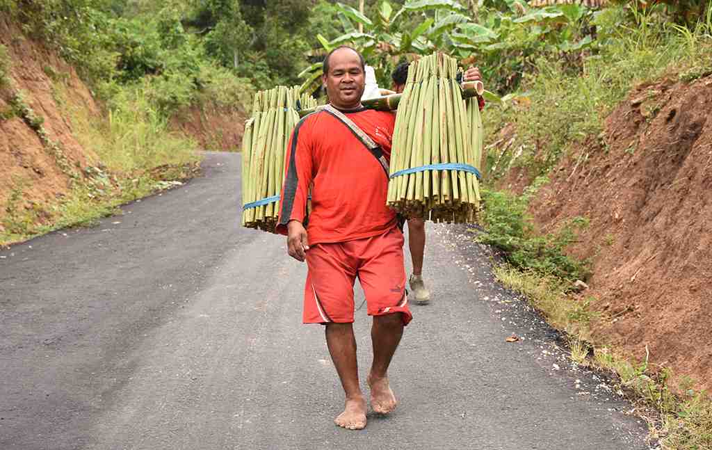 PETANI SAYUR DALAWAKO