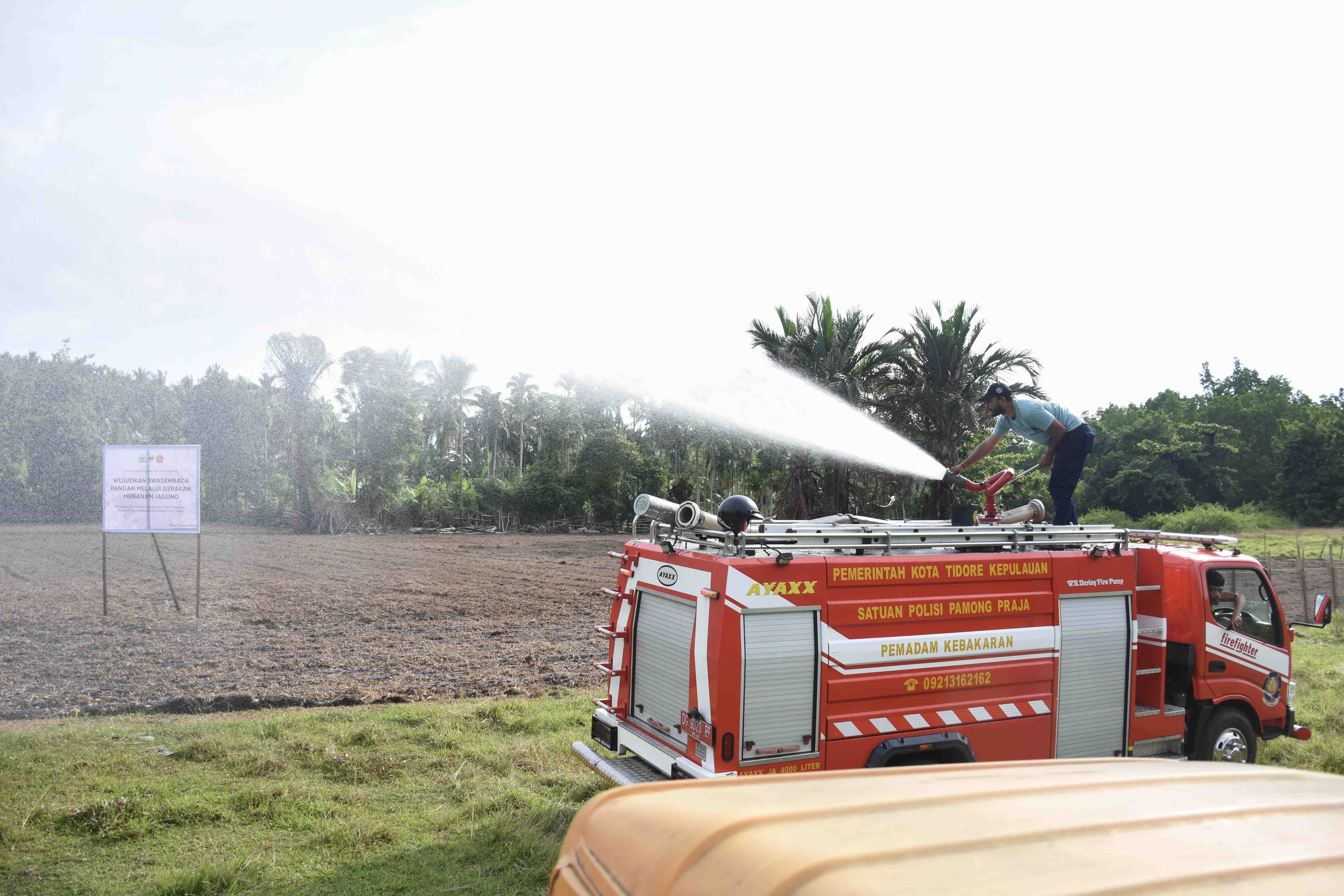 SIRAM LAHAN UNTUK BIBIT JAGUNG