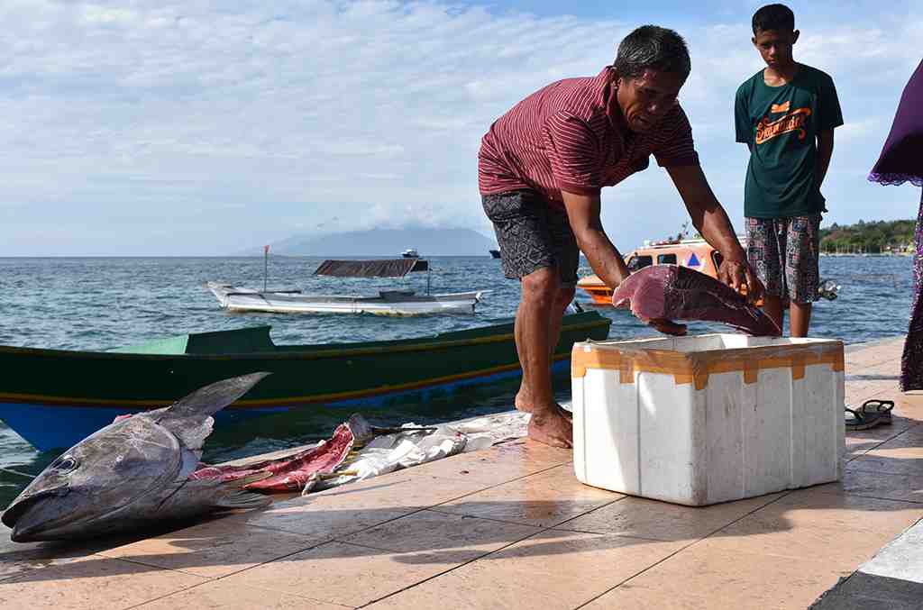 TAMPUNG IKAN TUNA