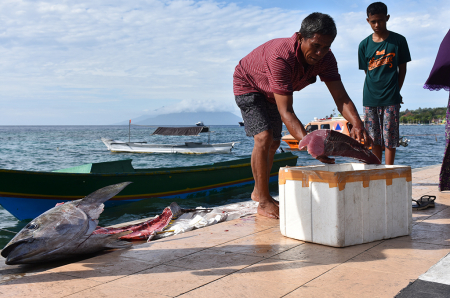 TAMPUNG IKAN TUNA