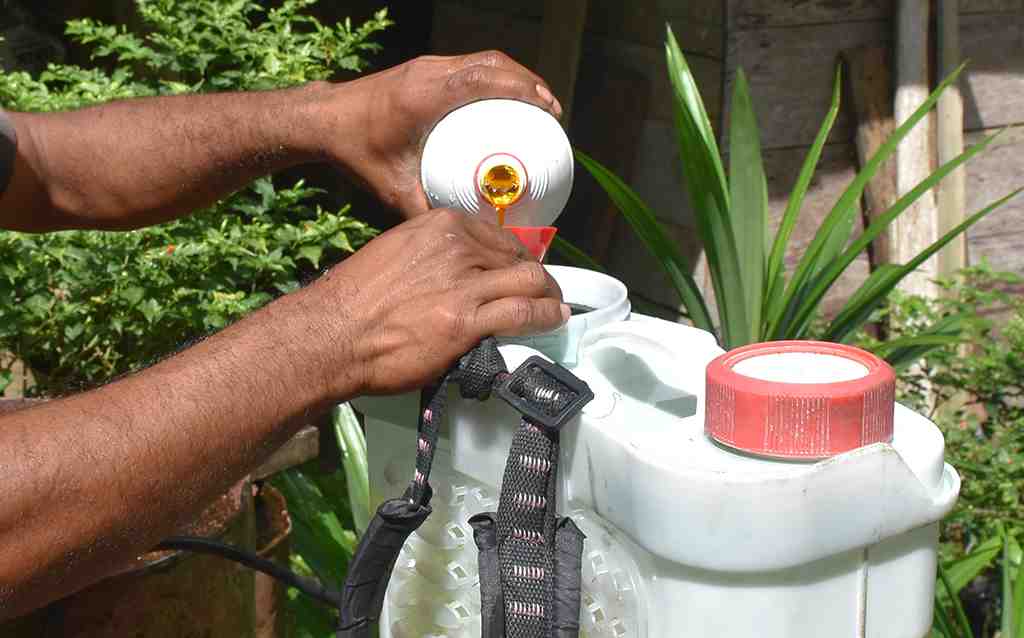 TAKAR OBAT PEMBASMI RUMPUT
