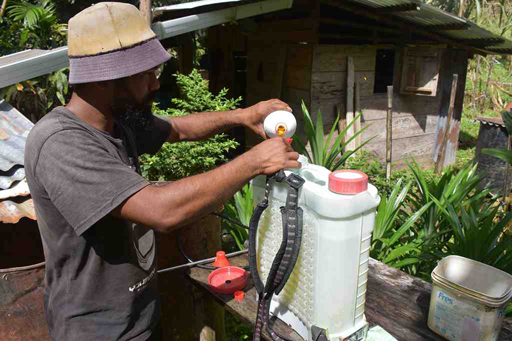 TAKAR OBAT PEMBASMI RUMPUT