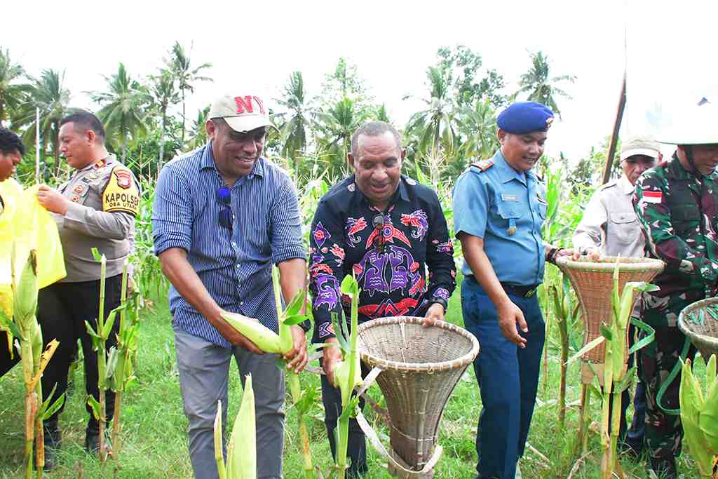 TINGKATKAN PRODUKTIVITAS PERTANIAN