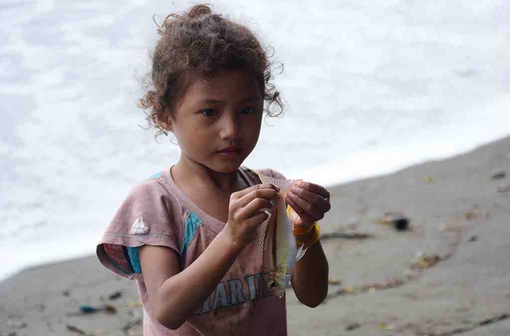 ANGKAT IKAL LAUT LUTJANUS FULVIFLAMMA