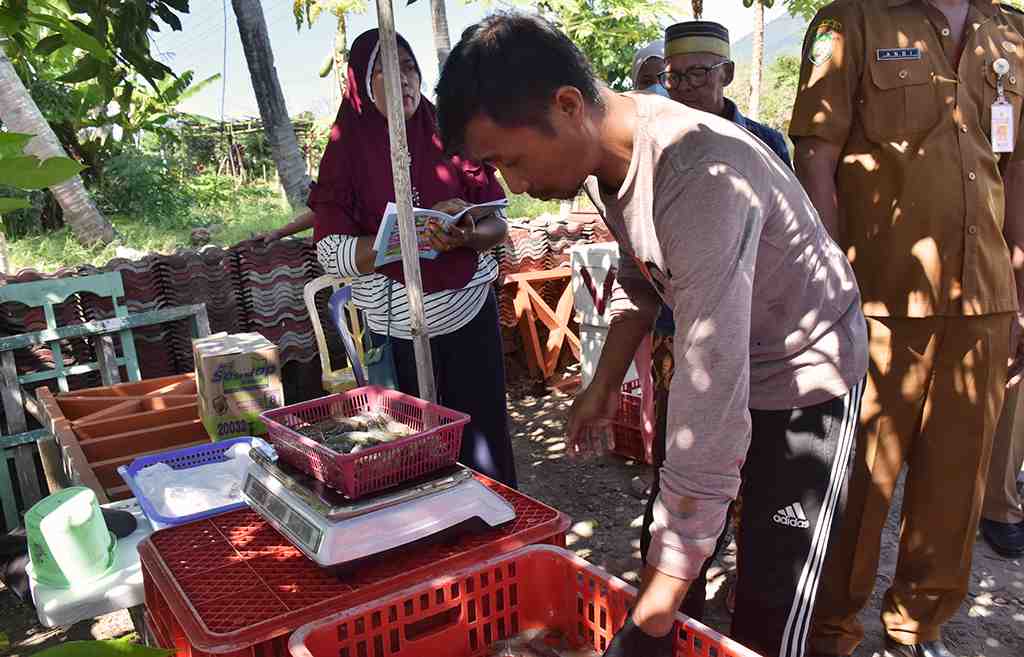 TIMBANG UDANG VANAME