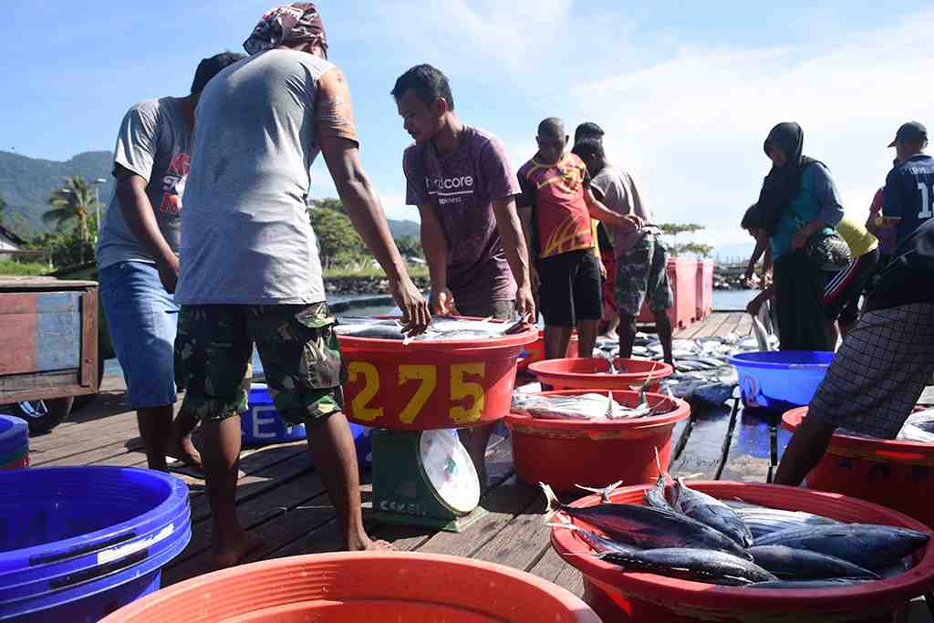 TIMBANG IKAN