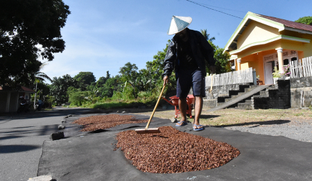KUMPULKAN CENGKEH KERING