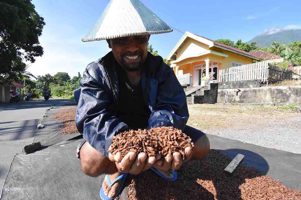 CENGKEH KERING