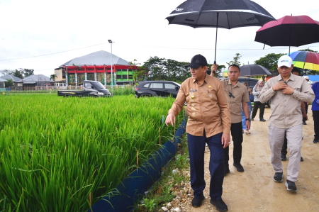 TINJAU TEKNOLOGI PADI