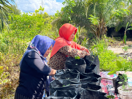 MANFAATKAN PEKARANGAN JADI KEBUN SAYUR