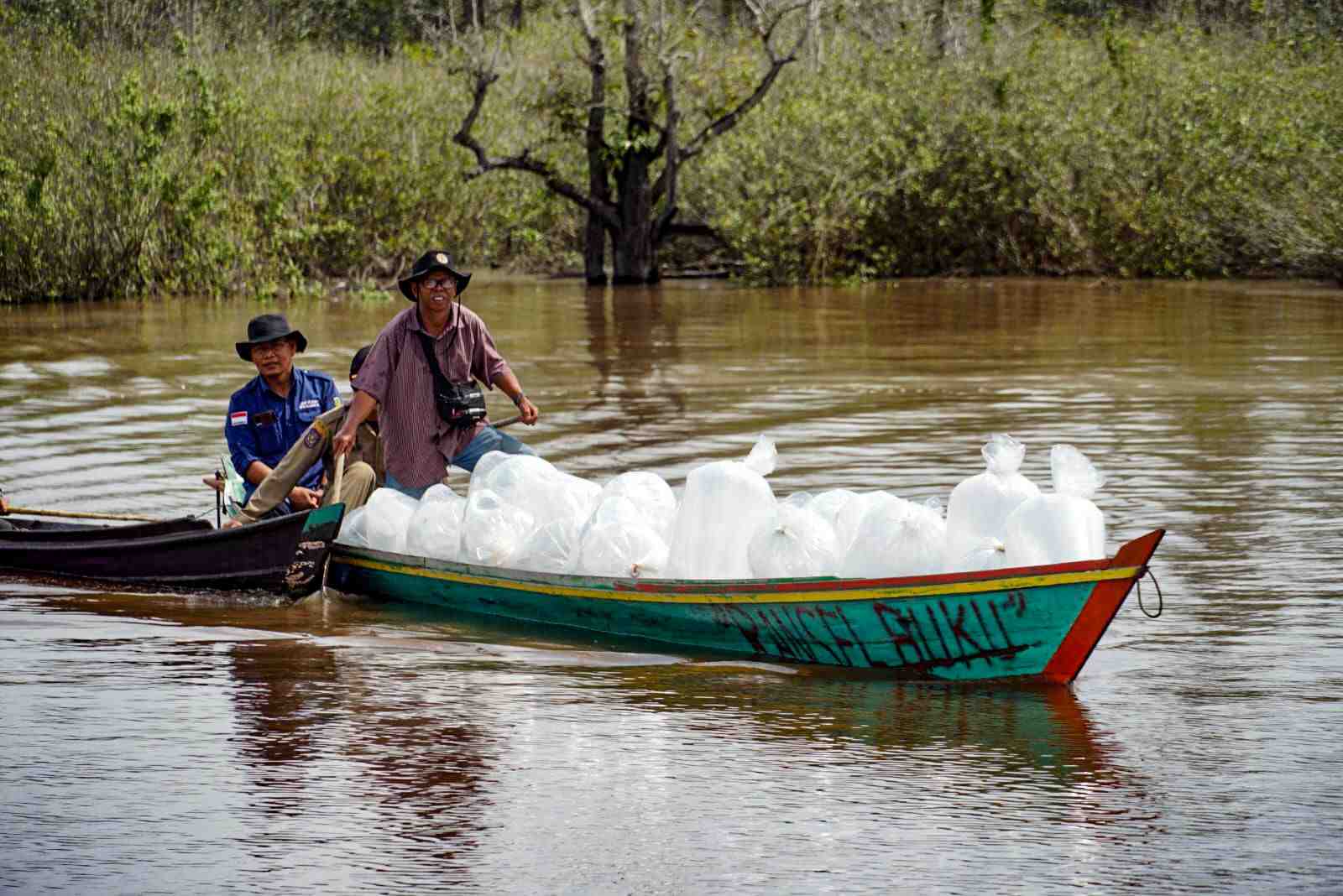 ANGKUT BENIH IKAN