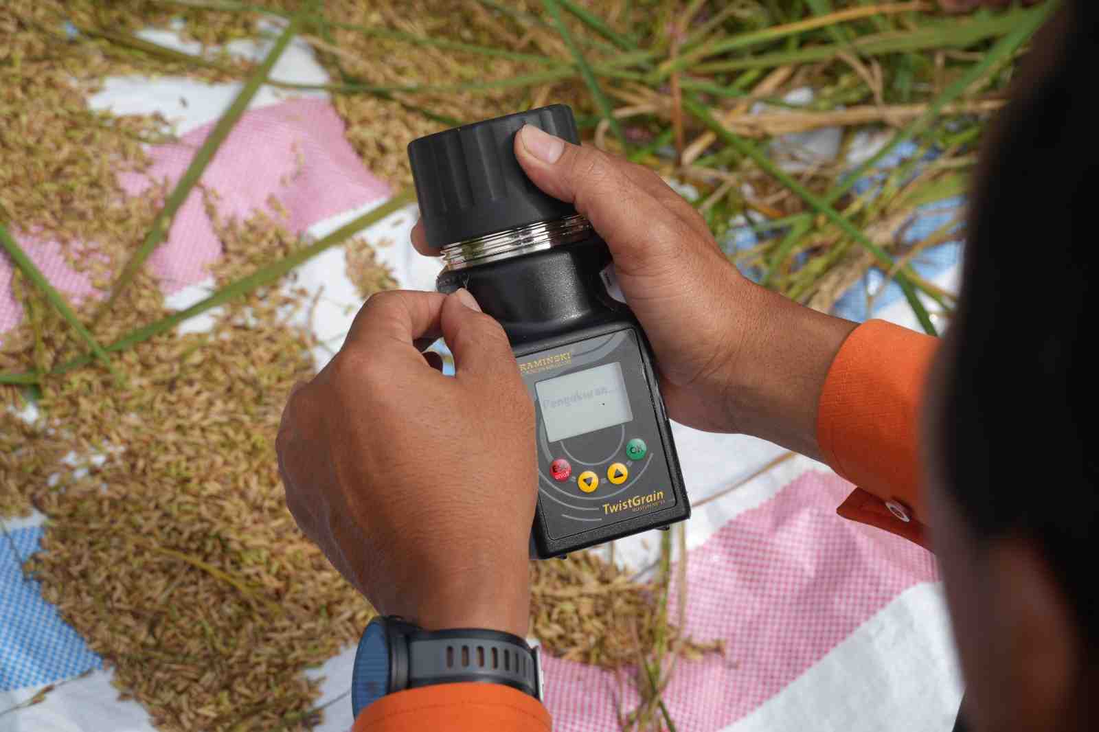 UKUR KADAR AIR PADI
