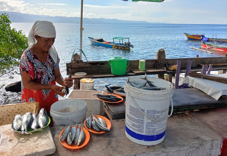 MEMBERSIHKAN IKAN